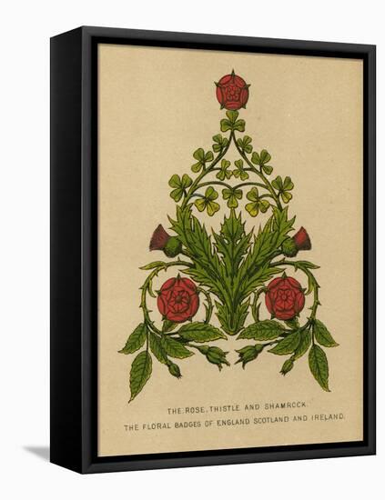 The Rose, Thistle and Shamrock. The Floral Badges of England, Scotland and Ireland-English School-Framed Premier Image Canvas