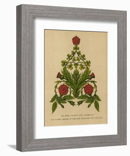 The Rose, Thistle and Shamrock. The Floral Badges of England, Scotland and Ireland-English School-Framed Giclee Print