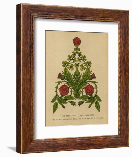The Rose, Thistle and Shamrock. The Floral Badges of England, Scotland and Ireland-English School-Framed Giclee Print