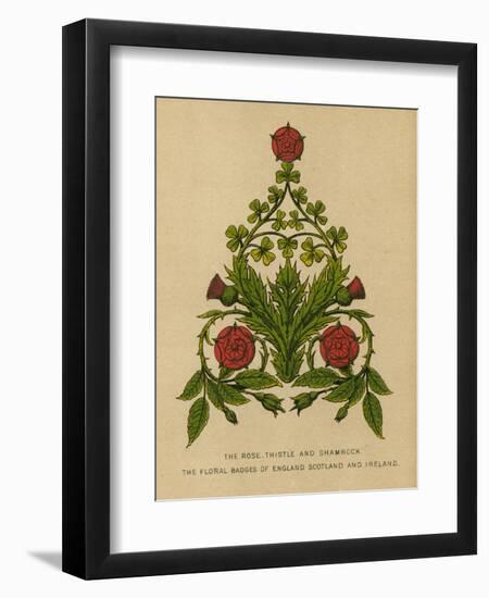 The Rose, Thistle and Shamrock. The Floral Badges of England, Scotland and Ireland-English School-Framed Giclee Print