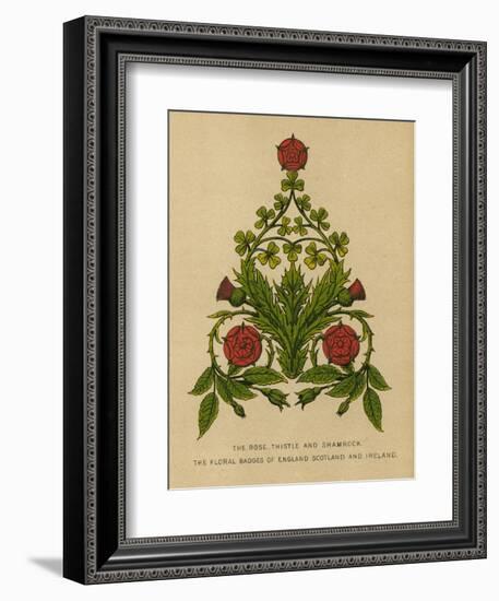 The Rose, Thistle and Shamrock. The Floral Badges of England, Scotland and Ireland-English School-Framed Giclee Print