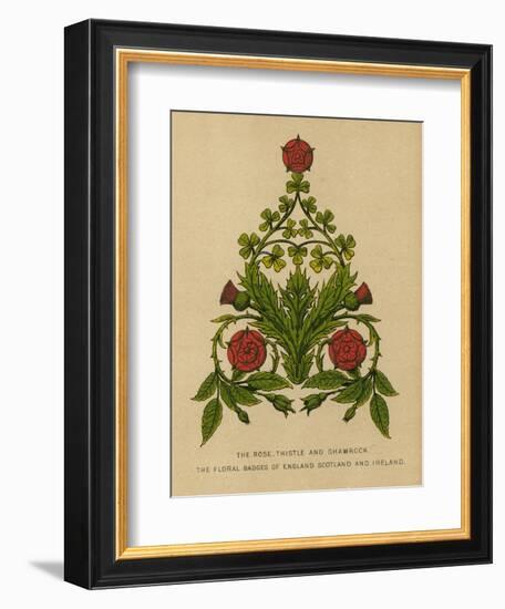 The Rose, Thistle and Shamrock. The Floral Badges of England, Scotland and Ireland-English School-Framed Giclee Print