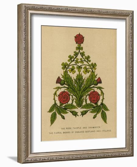 The Rose, Thistle and Shamrock. The Floral Badges of England, Scotland and Ireland-English School-Framed Giclee Print