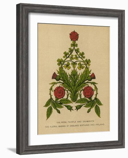 The Rose, Thistle and Shamrock. The Floral Badges of England, Scotland and Ireland-English School-Framed Giclee Print