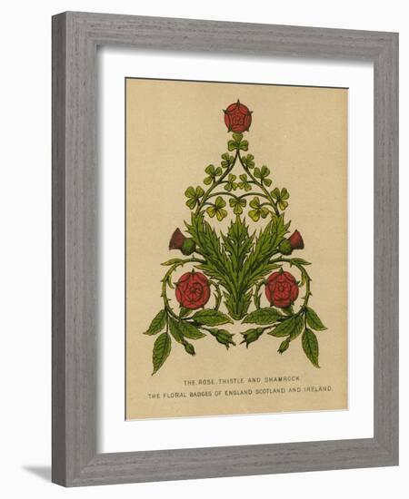 The Rose, Thistle and Shamrock. The Floral Badges of England, Scotland and Ireland-English School-Framed Giclee Print