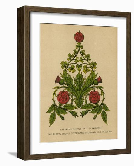 The Rose, Thistle and Shamrock. The Floral Badges of England, Scotland and Ireland-English School-Framed Giclee Print