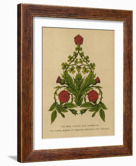 The Rose, Thistle and Shamrock. The Floral Badges of England, Scotland and Ireland-English School-Framed Giclee Print