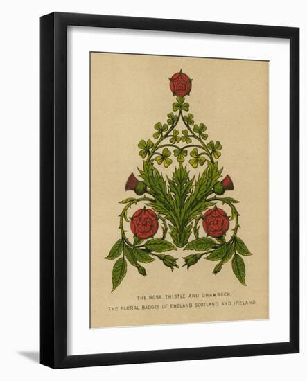 The Rose, Thistle and Shamrock. The Floral Badges of England, Scotland and Ireland-English School-Framed Giclee Print