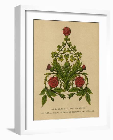 The Rose, Thistle and Shamrock. The Floral Badges of England, Scotland and Ireland-English School-Framed Giclee Print