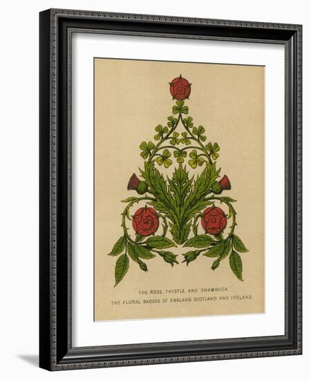 The Rose, Thistle and Shamrock. The Floral Badges of England, Scotland and Ireland-English School-Framed Giclee Print