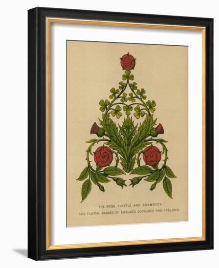 The Rose, Thistle and Shamrock. The Floral Badges of England, Scotland and Ireland-English School-Framed Giclee Print