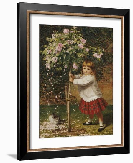 The Rose Tree-James Hayllar-Framed Giclee Print