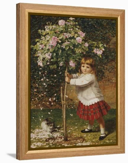 The Rose Tree-James Hayllar-Framed Premier Image Canvas