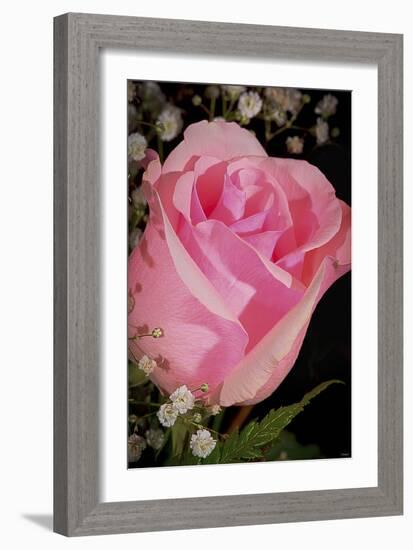 The Rose-Gordon Semmens-Framed Photographic Print