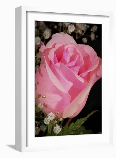 The Rose-Gordon Semmens-Framed Photographic Print