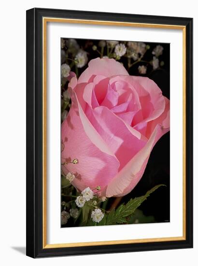 The Rose-Gordon Semmens-Framed Photographic Print