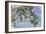 The Roses, 1925-26-Claude Monet-Framed Giclee Print