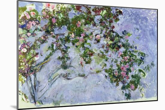 The Roses, 1925-26-Claude Monet-Mounted Giclee Print