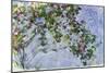 The Roses, 1925-26-Claude Monet-Mounted Giclee Print