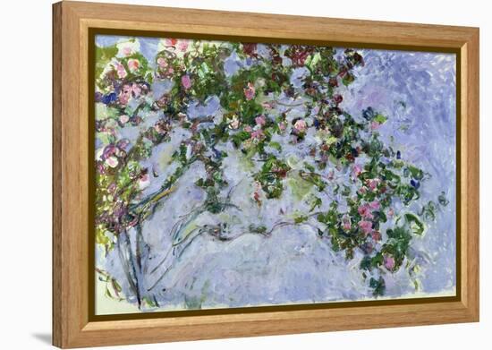 The Roses, 1925-26-Claude Monet-Framed Premier Image Canvas