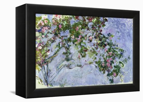 The Roses, 1925-26-Claude Monet-Framed Premier Image Canvas