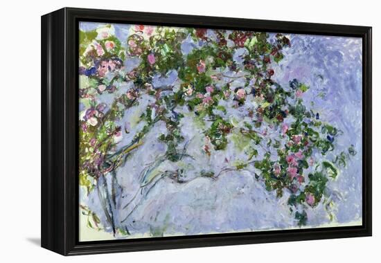 The Roses, 1925-26-Claude Monet-Framed Premier Image Canvas