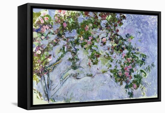 The Roses, 1925-26-Claude Monet-Framed Premier Image Canvas