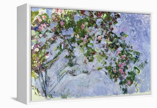 The Roses, 1925-26-Claude Monet-Framed Premier Image Canvas