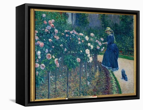 The Roses. Garden of the Little Gennevilliers. Painting by Gustave Caillebotte (1848-1894), 1886. P-Gustave Caillebotte-Framed Premier Image Canvas