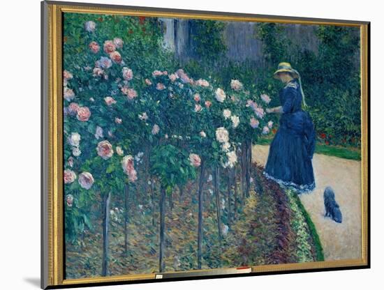 The Roses. Garden of the Little Gennevilliers. Painting by Gustave Caillebotte (1848-1894), 1886. P-Gustave Caillebotte-Mounted Giclee Print
