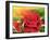 The Roses in the Festival of Light, 2003-Myung-Bo Sim-Framed Giclee Print