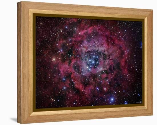 The Rosette Nebula-Stocktrek Images-Framed Premier Image Canvas