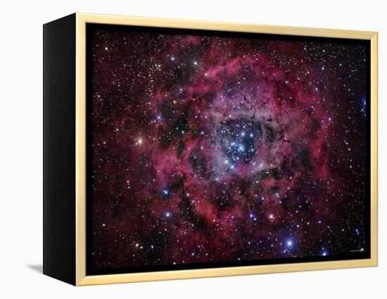 The Rosette Nebula-Stocktrek Images-Framed Premier Image Canvas