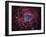 The Rosette Nebula-Stocktrek Images-Framed Photographic Print