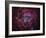 The Rosette Nebula-Stocktrek Images-Framed Photographic Print