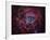 The Rosette Nebula-Stocktrek Images-Framed Photographic Print