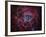 The Rosette Nebula-Stocktrek Images-Framed Photographic Print