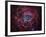 The Rosette Nebula-Stocktrek Images-Framed Photographic Print