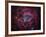 The Rosette Nebula-Stocktrek Images-Framed Photographic Print