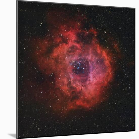 The Rosette Nebula-Stocktrek Images-Mounted Photographic Print