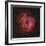 The Rosette Nebula-Stocktrek Images-Framed Photographic Print