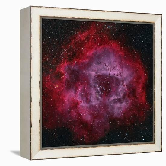 The Rosette Nebula-null-Framed Premier Image Canvas