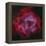 The Rosette Nebula-null-Framed Premier Image Canvas