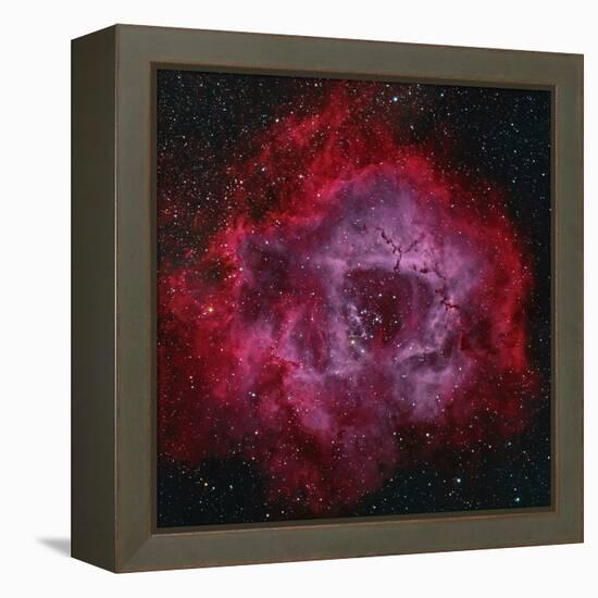 The Rosette Nebula-null-Framed Premier Image Canvas