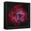 The Rosette Nebula-null-Framed Premier Image Canvas