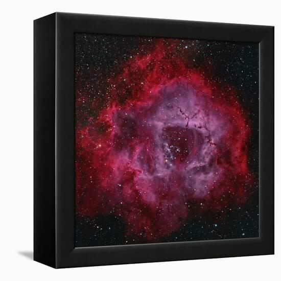 The Rosette Nebula-null-Framed Premier Image Canvas