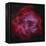 The Rosette Nebula-null-Framed Premier Image Canvas