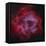 The Rosette Nebula-null-Framed Premier Image Canvas