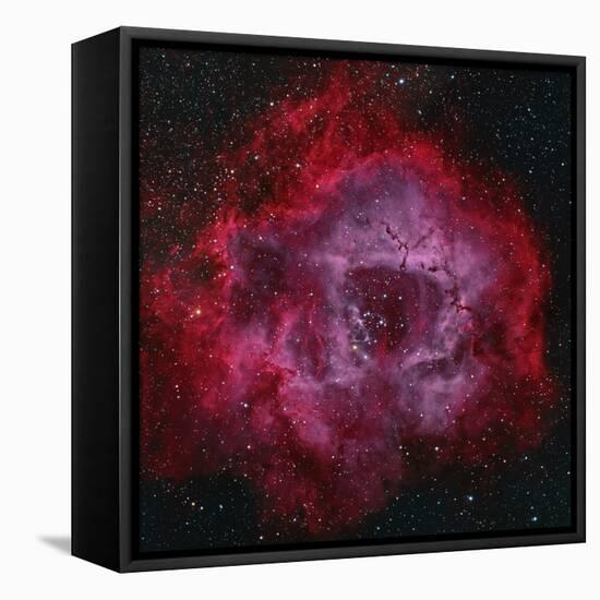 The Rosette Nebula-null-Framed Premier Image Canvas