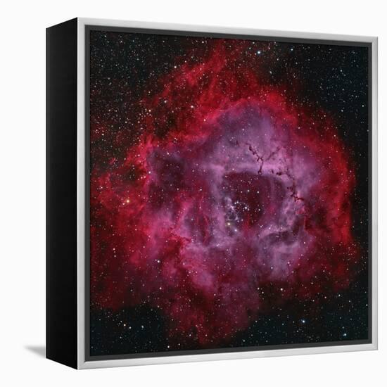 The Rosette Nebula-null-Framed Premier Image Canvas